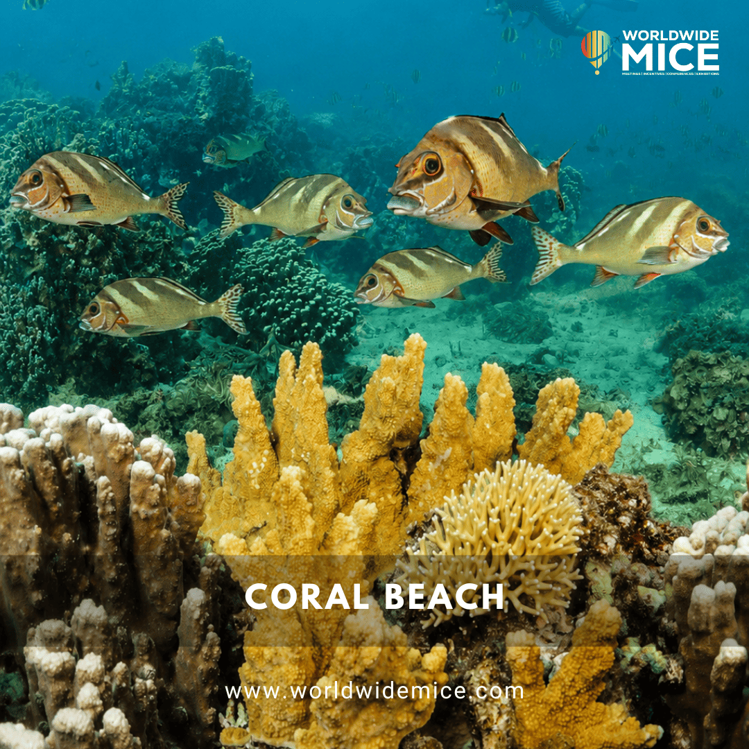Coral Beach